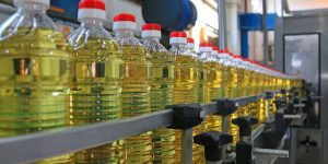 shutterstock_295446149