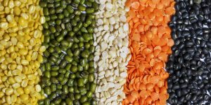 Multi,Color,Pulses,Background