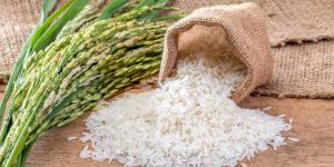 Jasmine,Rice,In,Sack Jasmine,Rice,In,Sack